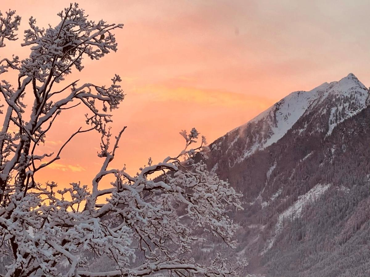 Auszeit Appartement Schladming Exteriör bild